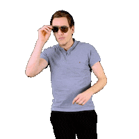 Sunglasses Nodding Sticker by Radio Ton