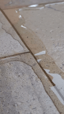 Simongip giphyupload GIF