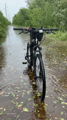 Bike Trail Submerged in Floodwaters in the Florida Keys