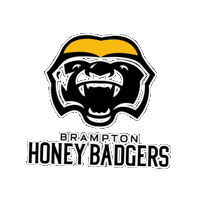 Basketball Nba Sticker by Brampton Honey Badgers