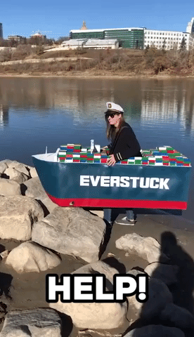 Woman Crafts 'Ever Given'-Inspired Costume