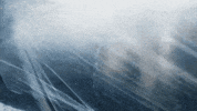 sub pop mood GIF by Sub Pop Records