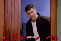 thebachelorau the bachelor au the bachelor australia GIF