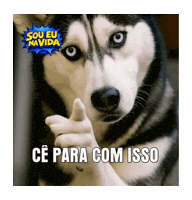 Bravo Pare Sticker by Sou Eu Na Vida