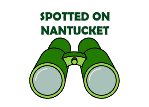 Binoculars Nantucket Sticker by Linda Loring Nature Foundation
