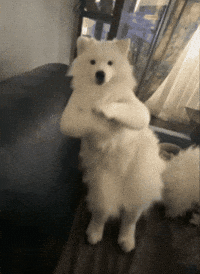 Game Of Thrones Dancing GIF