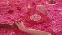 Happy Valentine's Day