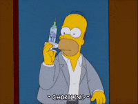 homer simpson GIF