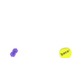 Pace Own It Sticker by paywithpace