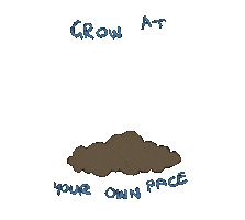 pokegirl93 nature flower plant grow Sticker