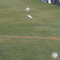 GIF by American Kennel Club