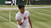 Grand Slam Sport GIF by Wimbledon