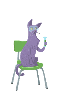 Cats Stem Sticker by Story Pirates