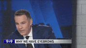 eyebrows yes GIF by WGN Morning News