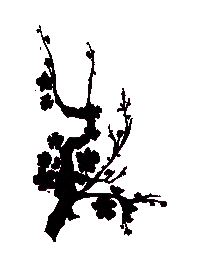 Chinese Flower Sticker by Kung Fu Burzaco