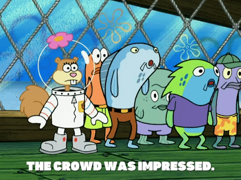 season 5 GIF by SpongeBob SquarePants