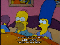 Season 1 Episode 13 GIF by The Simpsons