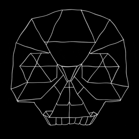 SoupWench giphygifmaker art wave skull GIF