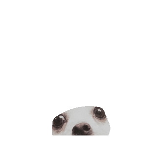 nativegoodco giphygifmaker Sticker