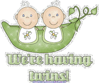 twins STICKER