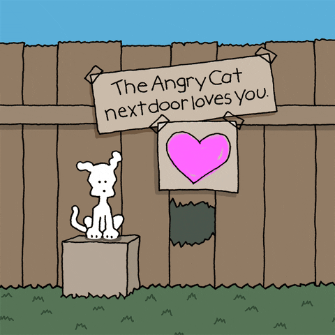 Cat Love GIF by Chippy the Dog