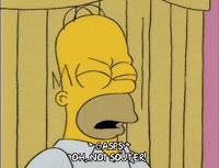 homer simpson episode 3 GIF