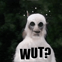 Meme What GIF by jorgemariozuleta