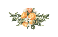Sticker by Dolce Tangerina