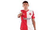 Football Soccer Sticker by SK Slavia Praha