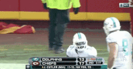 Miami Dolphins Football GIF by NFL