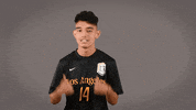 Soccer Ncaa GIF by Cal State LA Golden Eagles