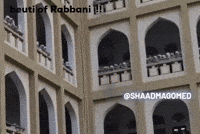 Shaadmagomed GIF
