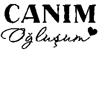Birev Evlat Sticker