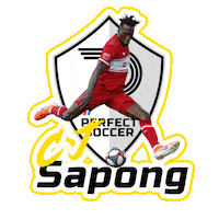 Ps Sticker by Perfect Soccer