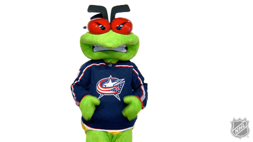 Columbus Blue Jackets Sport GIF by NHL