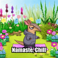 GIF by Chillo Dillo