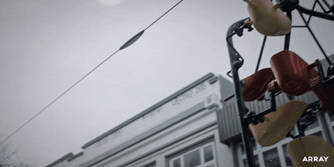 New Zealand Missy GIF by ARRAY