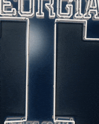 Georgia Tech Baseball GIF by Georgia Tech Yellow Jackets