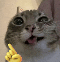 Not In My House No GIF