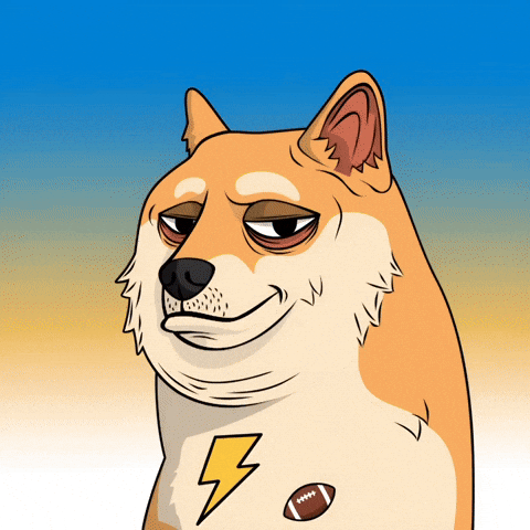 Shiba Inu Football GIF by Doge Pound
