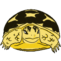 Yuki Sticker