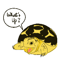 Yuki Sticker