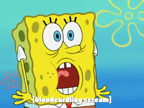 season 6 pet or pets GIF by SpongeBob SquarePants