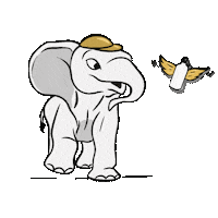 chosenbydermatology happy dancing water animal Sticker