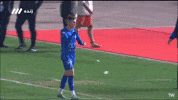 Sa Pinto Afc GIF