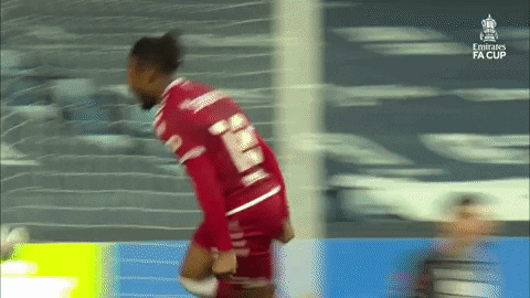 Celebrate Fa Cup GIF by Emirates FA Cup