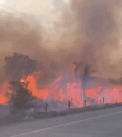 giphyupload brazil giphynewsinternational wildfire fires GIF