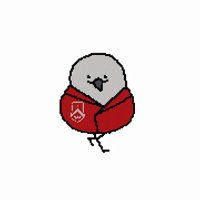 sogang albatross 닛몰캐쉬 서강 서강대학교 GIF