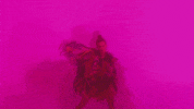 Wmg GIF by Warner Music Poland