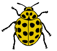 Creepy Crawlies Bug Sticker